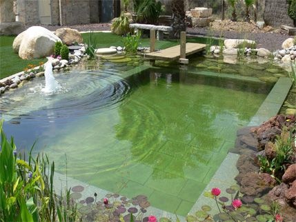 ¿Piscina ecológica o natural?