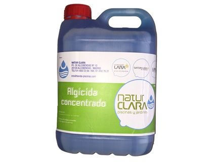 Prevención de algas en la piscina