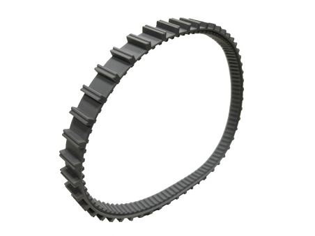 Correa de tracción para limpiafondos Dpool Master Evo