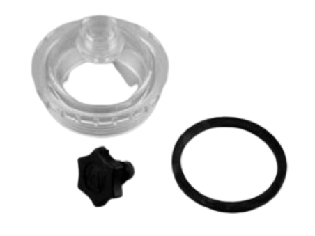 Purga visor para filtro de piscina Astralpool